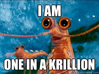 i am one in a krillion  krill
