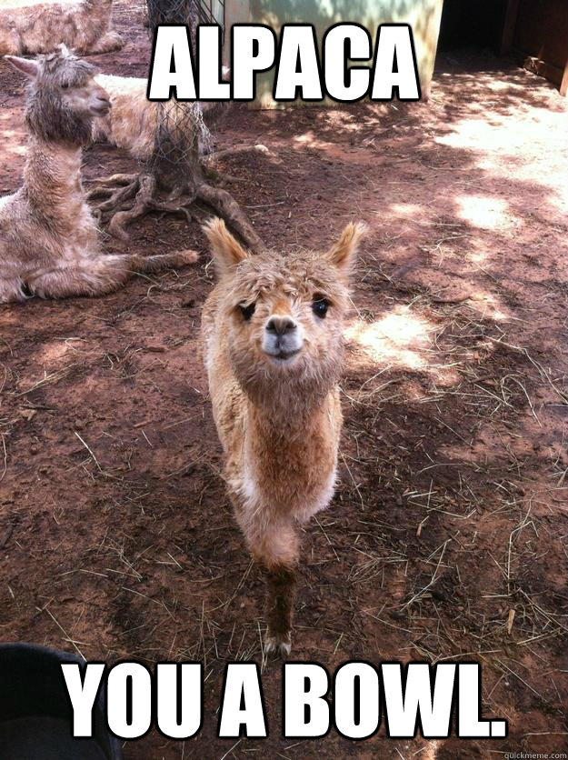 alpaca you a bowl.  10 alpaca