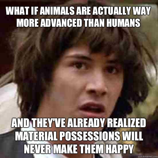 what if animals are actually way more advanced than humans And they've already realized material possessions will never make them happy - what if animals are actually way more advanced than humans And they've already realized material possessions will never make them happy  conspiracy keanu