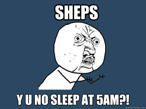 Sheps y u no sleep at 5am?!  Y U No