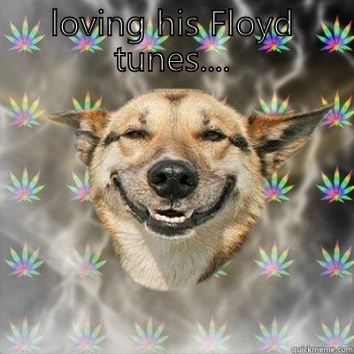 Ate my owners brownies - LOVING HIS FLOYD TUNES....  Stoner Dog