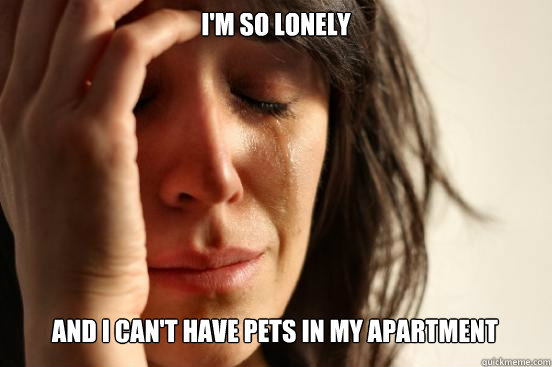 I'm so lonely
 And I can't have pets in my apartment   First World Problems