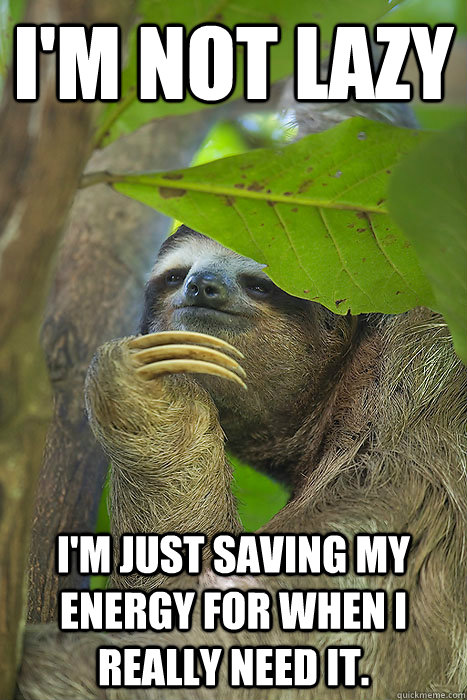I'm Not lazy I'm just saving my energy for when i really need it.  Philososloth