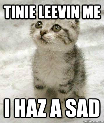 Tinie leevin me I haz a sad - Tinie leevin me I haz a sad  Sad cat