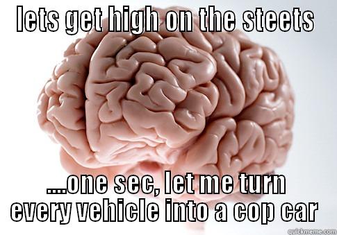 LETS GET HIGH ON THE STEETS ....ONE SEC, LET ME TURN EVERY VEHICLE INTO A COP CAR  Scumbag Brain