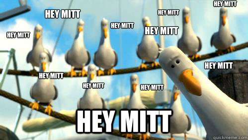 Hey MITT Hey MITT Hey MITT Hey MITT Hey MITT Hey MITT Hey MITT Hey MITT Hey MITT Hey MITT HEY MITT  Finding Nemo Seagulls
