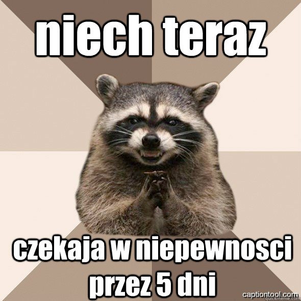 niech teraz czekaja w niepewnosci przez 5 dni - niech teraz czekaja w niepewnosci przez 5 dni  DLI real Scheming raccoons