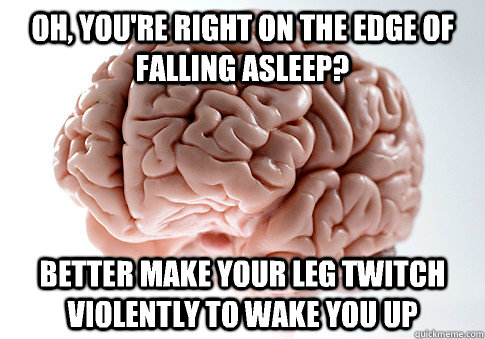 OH, YOU'RE RIGHT ON THE EDGE OF FALLING ASLEEP? BETTER MAKE YOUR LEG TWITCH VIOLENTLY TO WAKE YOU UP  Scumbag Brain
