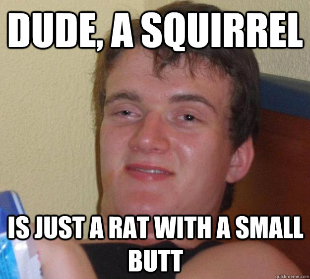 Dude, a squirrel is just a rat with a small butt  10 Guy