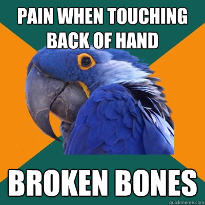 pain when touching back of hand BROKEN BONES  Paranoid Parrot