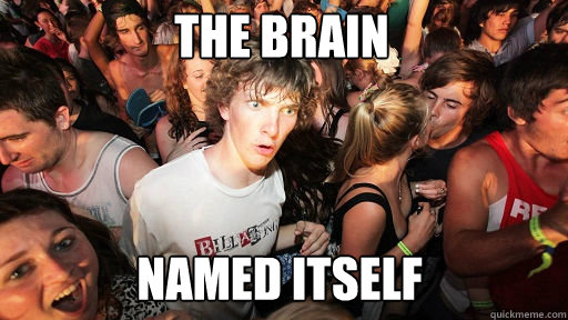 The Brain Named itself  Sudden Clarity Clarence