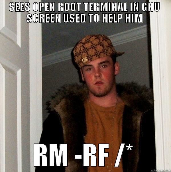 SEES OPEN ROOT TERMINAL IN GNU SCREEN USED TO HELP HIM RM -RF /* Scumbag Steve