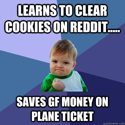 LEARNS TO CLEAR COOKIES ON REDDIT..... SAVES GF MONEY ON PLANE TICKET  Success Kid