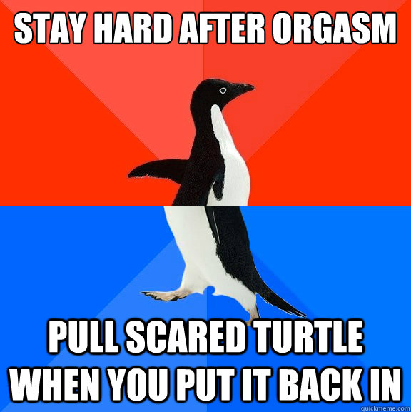 stay hard after orgasm pull scared turtle when you put it back in  Socially Awesome Awkward Penguin