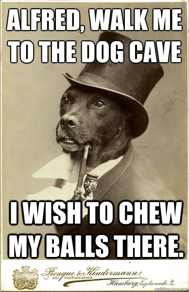 Alfred, walk me to the dog cave
 I wish to chew my balls there. - Alfred, walk me to the dog cave
 I wish to chew my balls there.  Old Money Dog