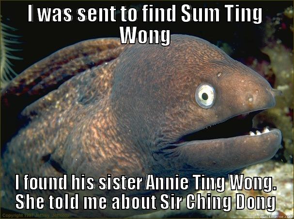 I WAS SENT TO FIND SUM TING WONG I FOUND HIS SISTER ANNIE TING WONG. SHE TOLD ME ABOUT SIR CHING DONG Bad Joke Eel
