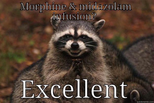 MORPHINE & MIDAZOLAM INFUSION?  EXCELLENT Evil Plotting Raccoon