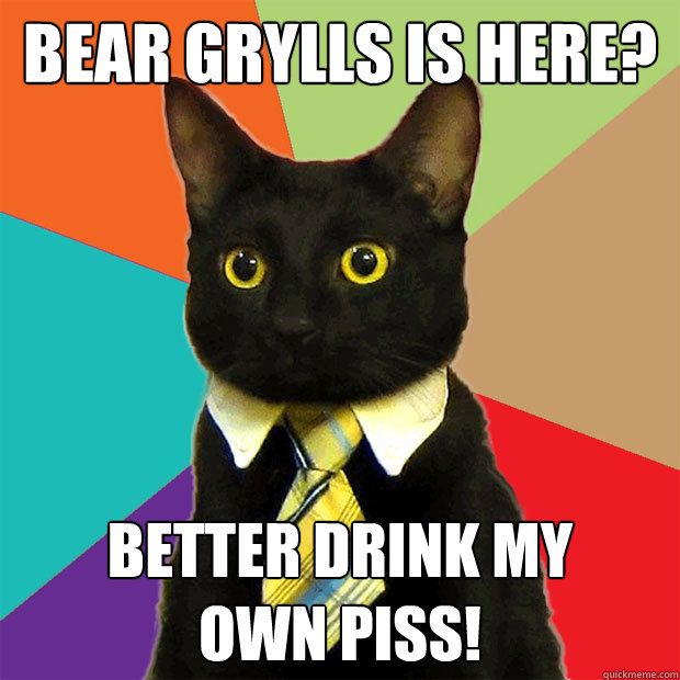 Bear Grylls is here? Better drink my
own piss!  Business Cat