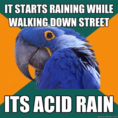 it starts raining while walking down street its acid rain  Paranoid Parrot