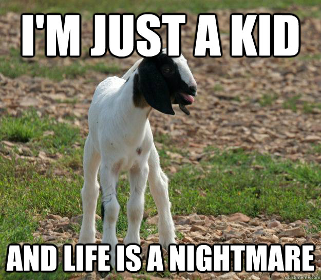 I'm just a kid and life is a nightmare  Baby Goat
