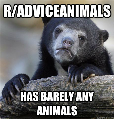 r/AdviceAnimals has barely any animals  Confession Bear