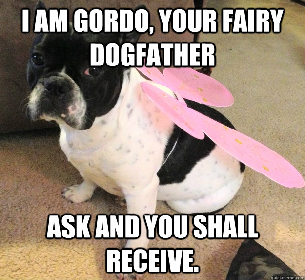 I am Gordo, your fairy Dogfather ask and you shall receive. - I am Gordo, your fairy Dogfather ask and you shall receive.  Misc