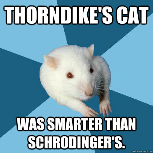 Thorndike's cat was smarter than schrodinger's.  Psychology Major Rat