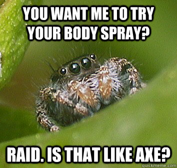 you want me to try your body spray?  Raid. is that like axe? - you want me to try your body spray?  Raid. is that like axe?  Misunderstood Spider