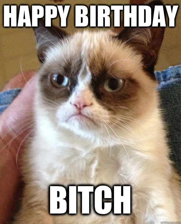 Happy birthday Bitch  - Happy birthday Bitch   Grumpy Cat