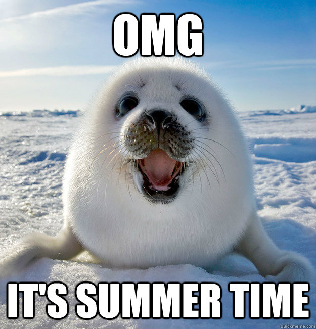 OMG It's summer time  Easily Pleased Seal