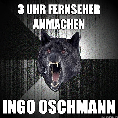 3 uhr Fernseher anmachen Ingo Oschmann   Insanity Wolf