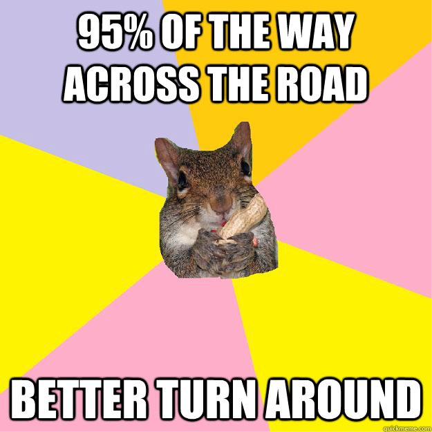 95% of the way across the road Better turn around - 95% of the way across the road Better turn around  Hypochondriac Squirrel