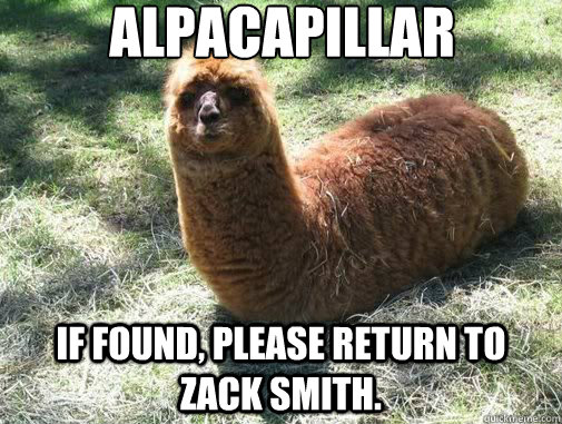 alpacapillar If found, please return to Zack Smith.  Alpacapillar