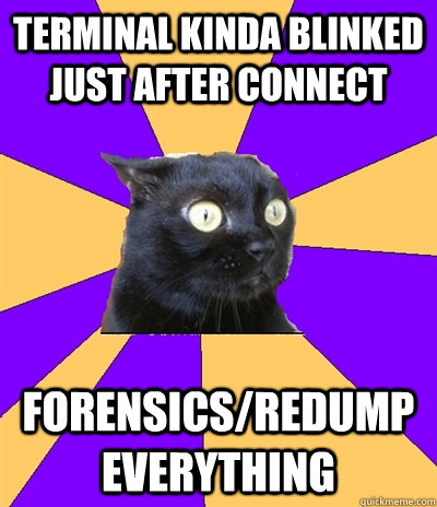 terminal kinda blinked just after connect forensics/redump EVERYTHING  Anxiety Cat