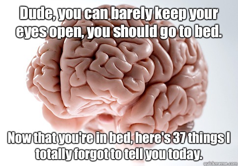 Dude, you can barely keep your eyes open, you should go to bed. Now that you're in bed, here's 37 things I totally forgot to tell you today.   Scumbag Brain