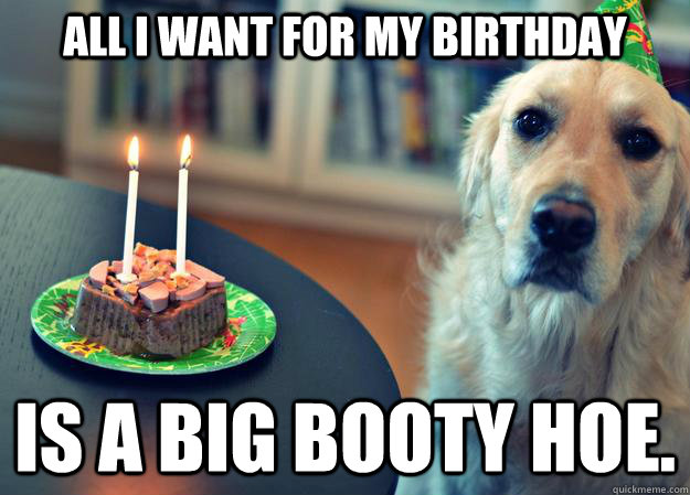 all i want for my birthday is a big booty hoe. - all i want for my birthday is a big booty hoe.  Sad Birthday Dog