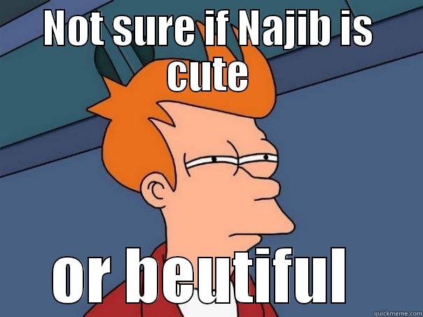 NOT SURE IF NAJIB IS CUTE OR BEAUTIFUL  Futurama Fry