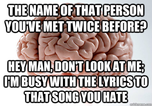 The name of that person you've met twice before? Hey man, don't look at me; I'm busy with the lyrics to that song you hate  Scumbag Brain