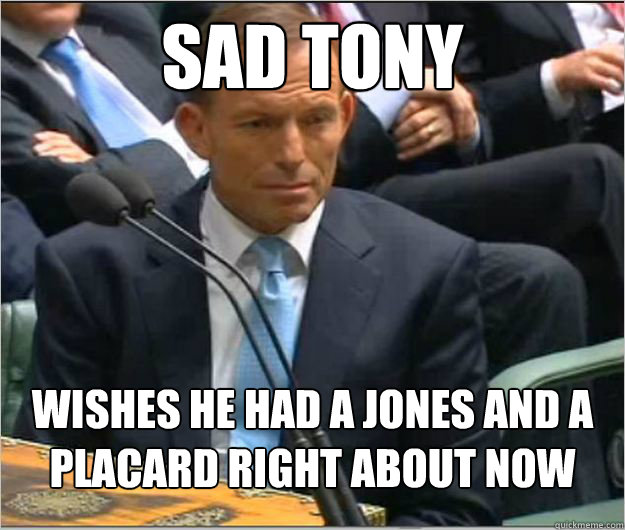 sad tony wishes he had a jones and a placard right about now - sad tony wishes he had a jones and a placard right about now  Misc