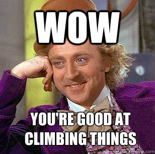 Wow You're good at climbing things  Condescending Wonka