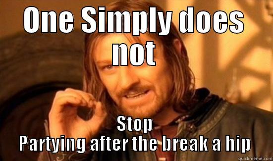 Stop partying - ONE SIMPLY DOES NOT STOP PARTYING AFTER THE BREAK A HIP Boromir