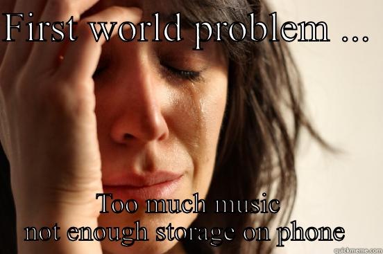 FIRST WORLD PROBLEM ...  TOO MUCH MUSIC NOT ENOUGH STORAGE ON PHONE  First World Problems