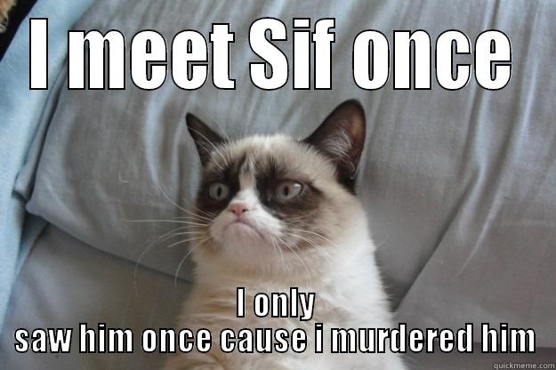 I MEET SIF ONCE I ONLY SAW HIM ONCE CAUSE I MURDERED HIM Grumpy Cat