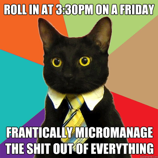 Roll in at 3:30pm on a friday frantically micromanage the shit out of everything - Roll in at 3:30pm on a friday frantically micromanage the shit out of everything  Business Cat