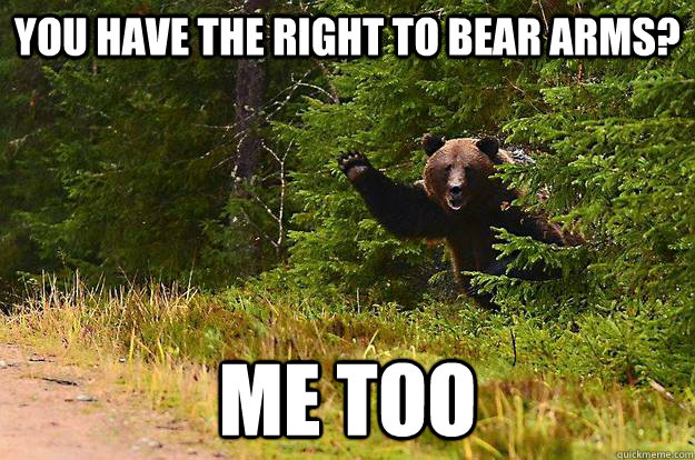 You have the right to bear arms? Me too - You have the right to bear arms? Me too  Misc