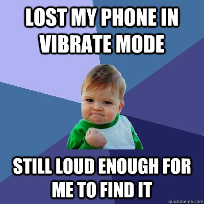 Lost my phone in vibrate mode Still loud enough for me to find it  Success Kid