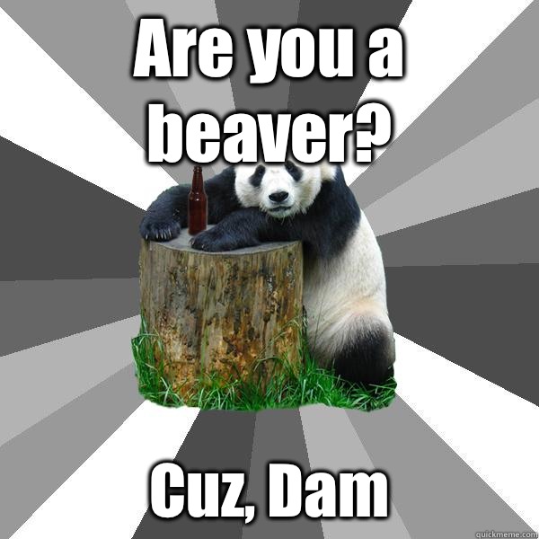 Are you a beaver? Cuz, Dam  Pickup-Line Panda
