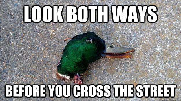 Look both ways  Before you cross the street - Look both ways  Before you cross the street  Misc