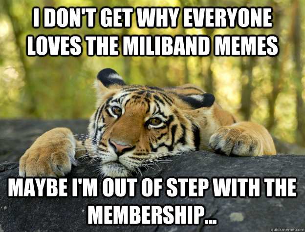 i don't get why everyone loves the miliband memes maybe i'm out of step with the membership...  Confession Tiger