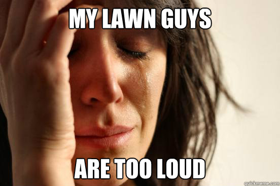 My lawn guys  are too loud  First World Problems